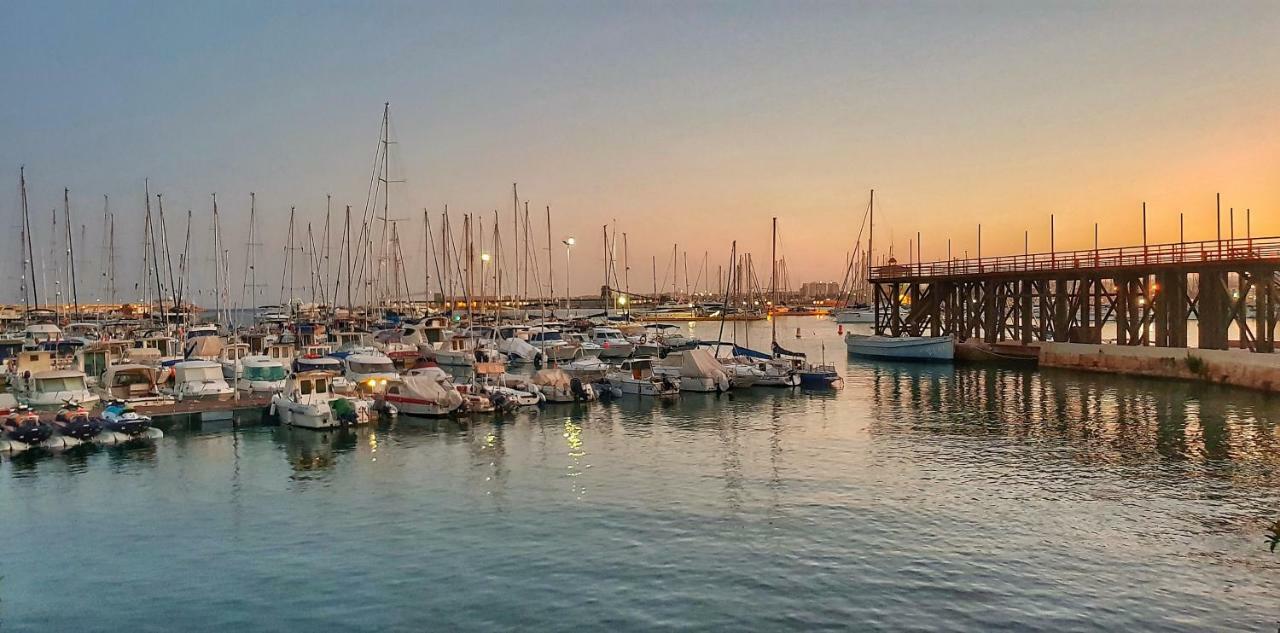 Torrevieja Apartment 외부 사진